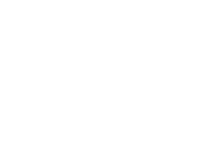 sinsay
